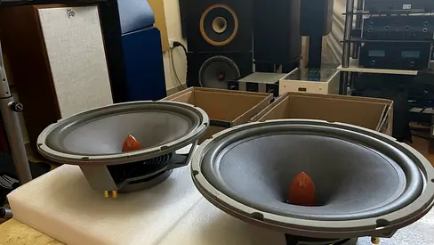Lii-song W15 woofers (2 pcs)