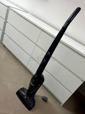 VACUUM CLEANER WITH HANDHELD VACUUM ELECTROLUX ERGORAPIDO