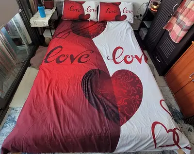 MOVING OUT SALE: Queensize bed bedding set with red heart Love design