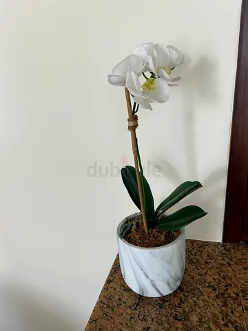 White Faux Phalaenopsis Orchid in Marble Pot - Decorative Plant
