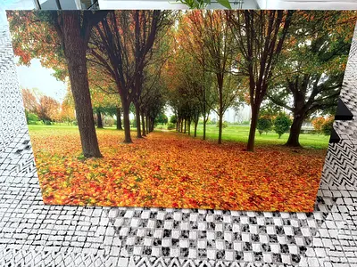 Framed Autumn Park Canvas Wall Art - Large
