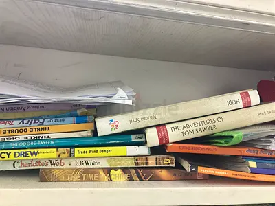Collection of Childrens Classics and Young Reader Books - Mixed Lot