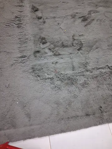 Carpet