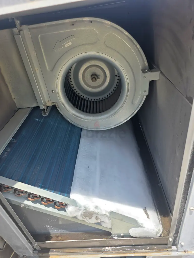 DPV_View_Image_0