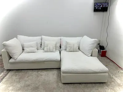 Selling the one brand lshape sofa