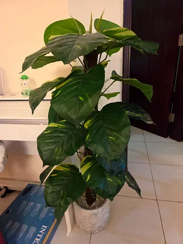 Artificial plant