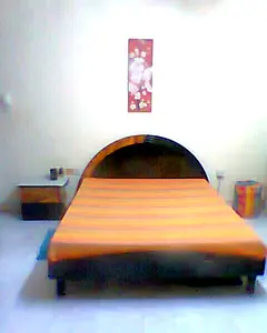 Big furnished room for Indian executive