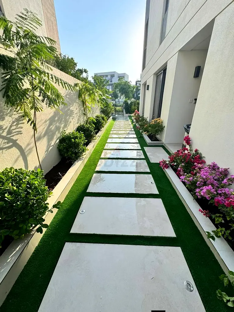 DPV_View_Image_2