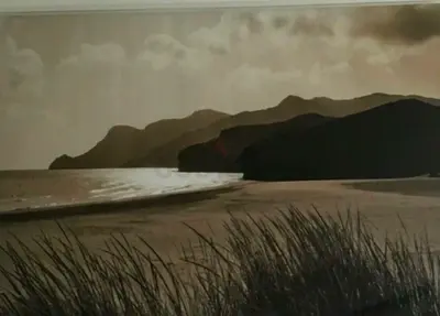 IKEA 300$ painting Framed Sepia Coastal Landscape Photograph