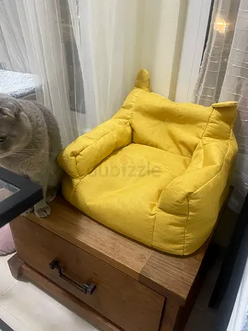 Free For cat or dog
