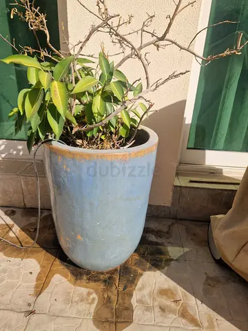 Large Blue Ceramic Plant Pot / Outdoor Planter