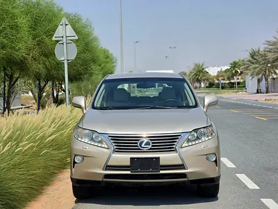 2014 Lexus RX-SERIES 照片 2