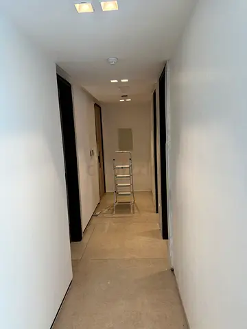 Painting services all type painting services