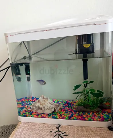 Small Aquarium Fish Tank with Filter and Accessories