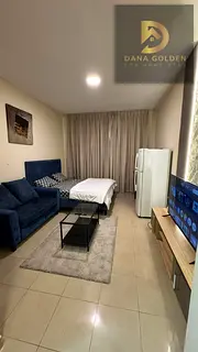 Welcome to Dana Golden Hoodie Homes Real Estate LLC Payment Details:2898 studio