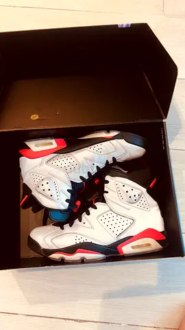 Jordan 6  reflections of a champion
