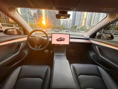 2023 Tesla MODEL 3 缩略图 15