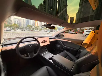 2023 Tesla MODEL 3 缩略图 12