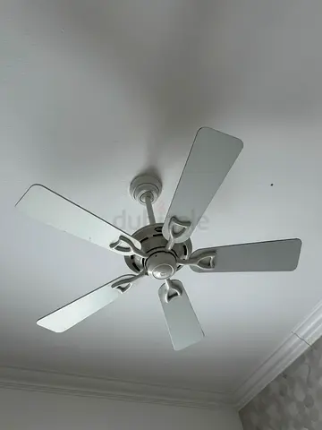 Hunter indoor celling fan