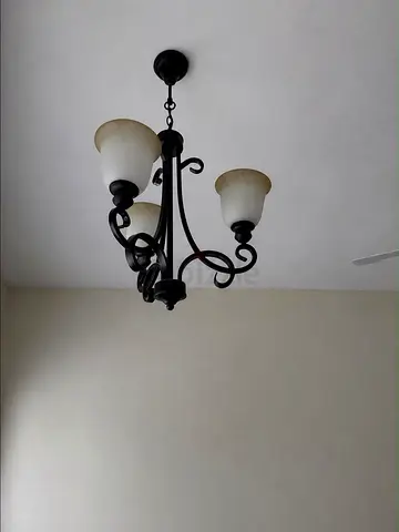 Ceiling light chandelier