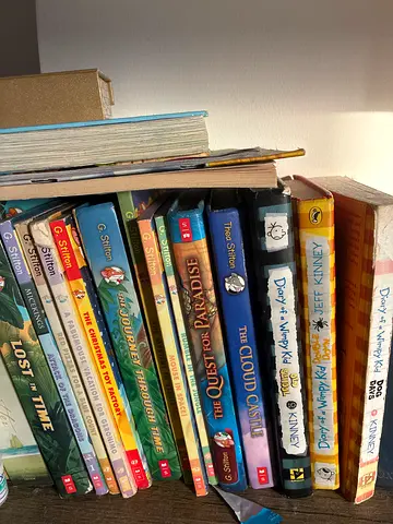 Collection of Childrens Books Diary of a Wimpy Kid and Geronimo Stilton