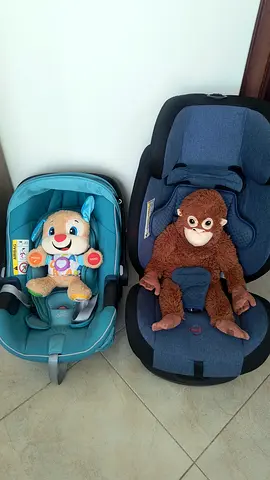 Infant/kid Car seats