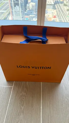 Louis Vuitton skate sneakers