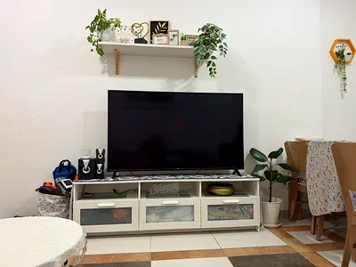 LG 65 inch tv