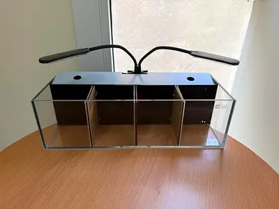 Ultra White Glass Betta Fish Tank | 4-Partition