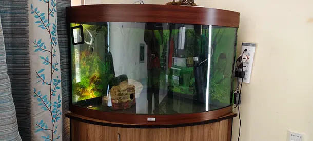 Jewel Fish Tank for sale