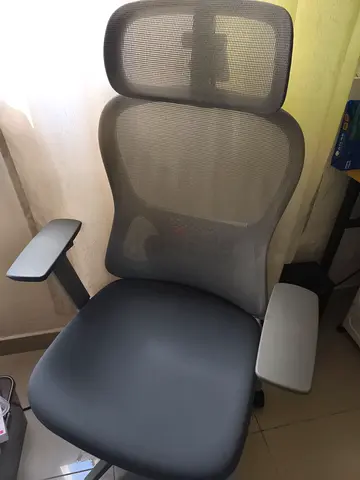 Moment Ergonomic Mesh Office Chair with 4D Headrest 3D armrest — Great Condition