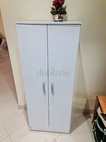 2 Door Shoe rack with 4 rows