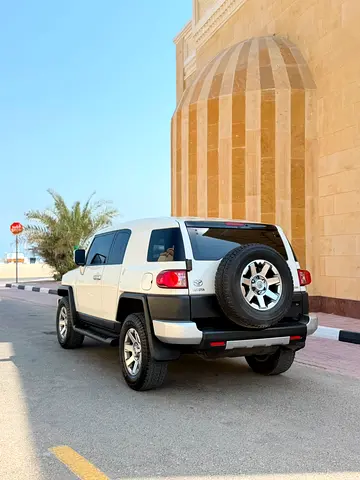 2020 Toyota FJ CRUISER 照片 15