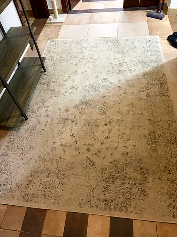 Light beige patterned area rug - good condition, 2.5x3.5m (approx)