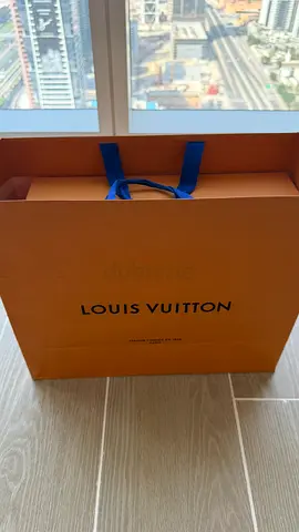 Louis Vuitton skate sneakers