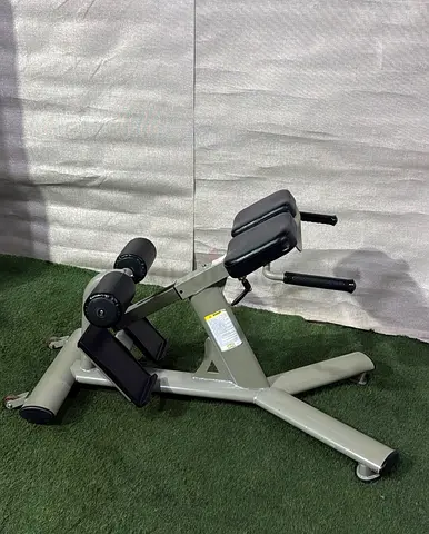 Commercial Gym Hyperextension.
