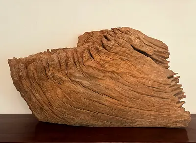 Large Natural Teak Root Sculpture – Solid Reclaimed Wood Statement Décor