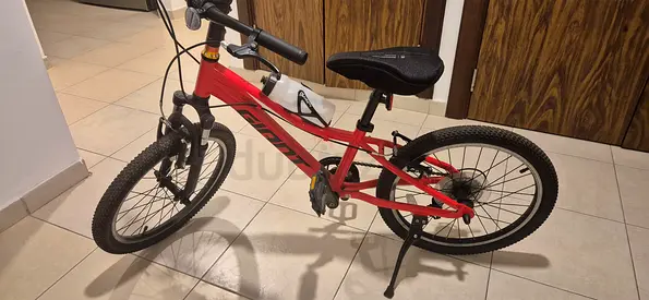 Kids Bicycle 20inch Red Giant