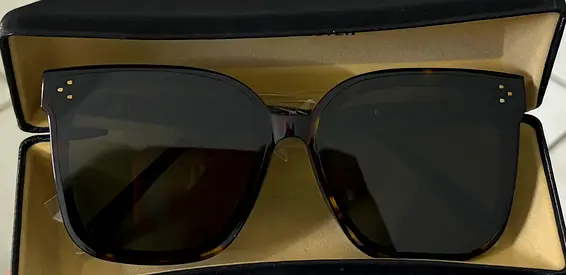 Gentle Monster Original Black Sunglasses