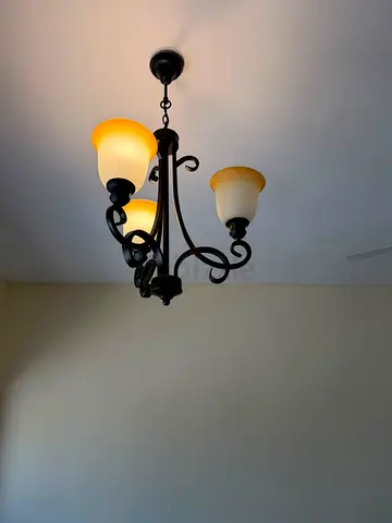 Ceiling light chandelier