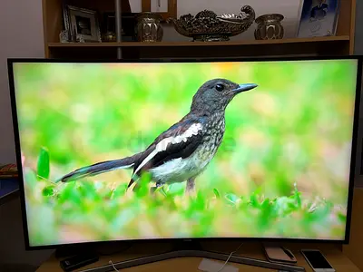 55” Samsung Smart TV -Curve