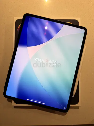 Apple iPad Pro 13 m5 256gb (Wi‑Fi) with Apple Pencil Pro and Case - excellent Condition