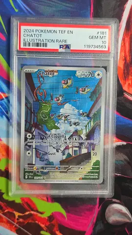 Chatot PSA 10
