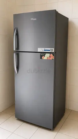 Super General 2-door Silver Refrigerator (Top Freezer) - Good Condition