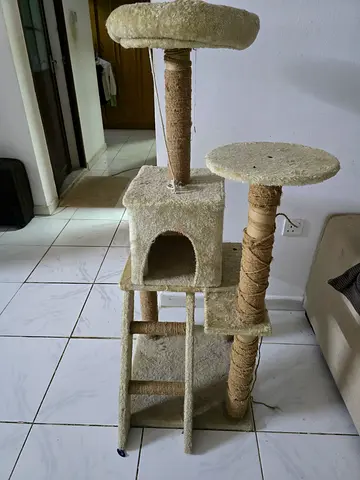 PETS Accessories