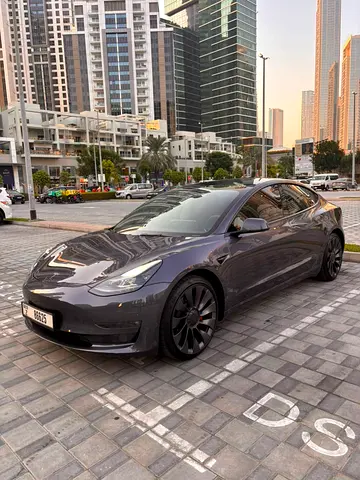 2023 Tesla MODEL 3 照片 6