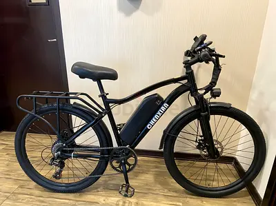 electric bike (Chenxian)