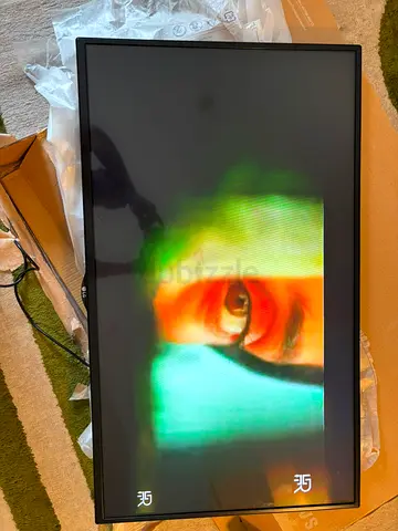LG TV 43 inch