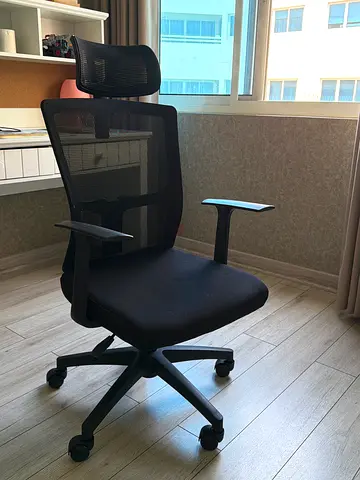 Ergonomic Mesh Office Chair with Headrest