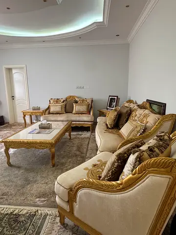 Luxurious Classic French/Victorian Style Living Room Set - Complete Set (Mint Condition)